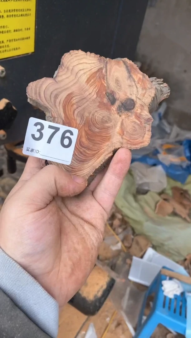 【闪购商品】柏木太行陈化崖柏（津诚林）切片