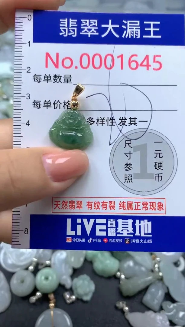 颈饰未镶嵌翡翠1645