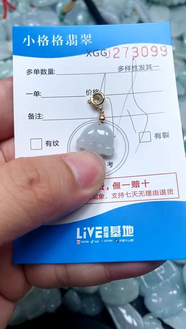 翡翠未镶嵌颈饰闪购商品0273099