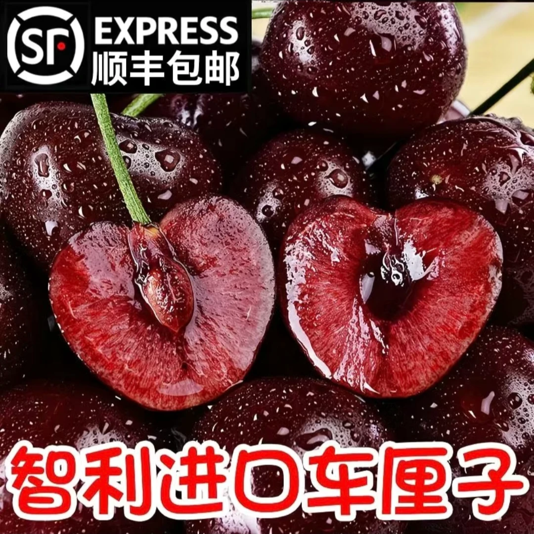 【五斤原箱明天到】4JD果王桑提娜智利进口车厘子内附果径卡海运桑提娜樱桃智利共和国