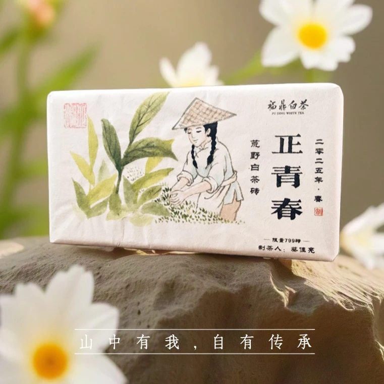 （制茶人蔡佳亮）2025年正青春古树茶砖【手绘】新茶可闷可煮