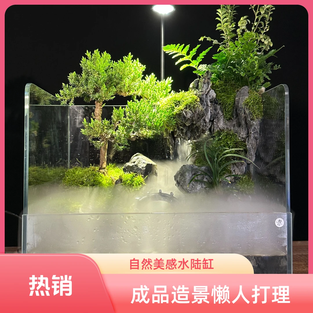 30x25x25青龙石手工造景成品金晶超白水陆缸山水景常青耐阴室内