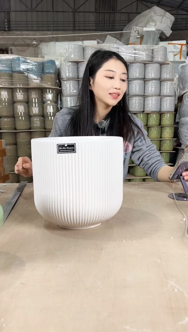 【闪购商品】陶瓷新款条纹哑白大号22x21