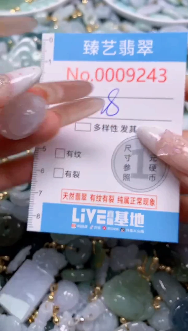 翡翠未镶嵌颈饰9243