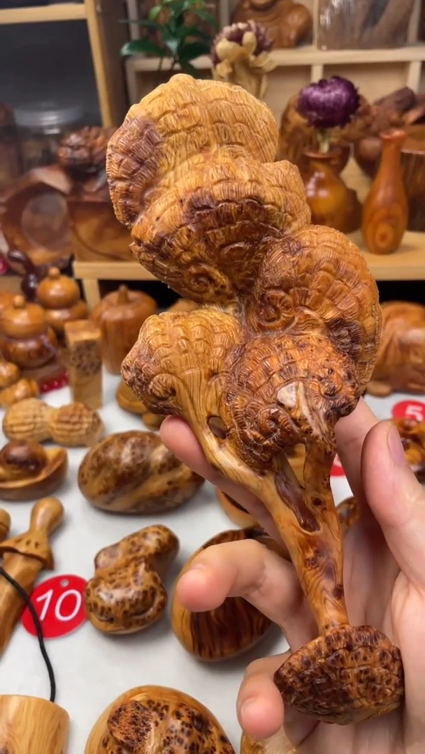 木太行崖柏陈化瘤花精品大灵芝
