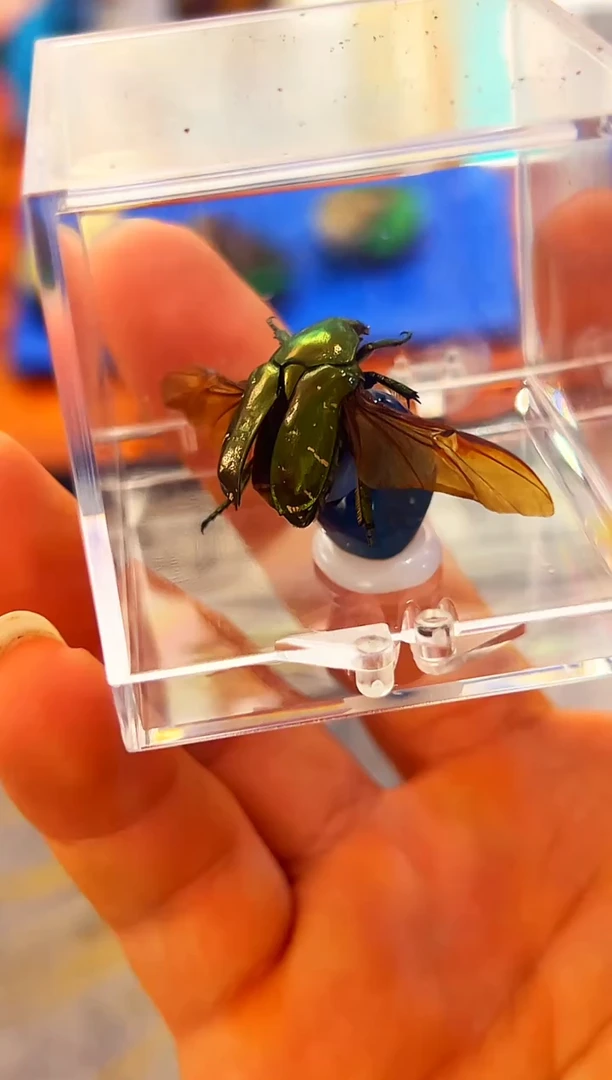 有机玻璃8424524542