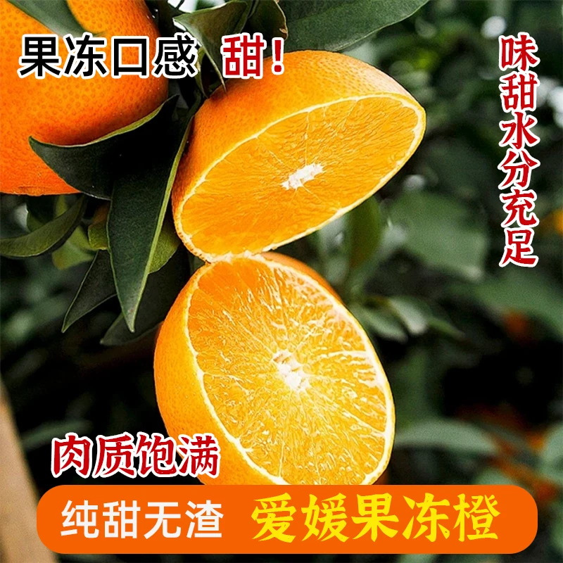 【新鲜现摘】眉山爱媛果冻橙细嫩多汁孕妇维C水果四川高山果冻橙