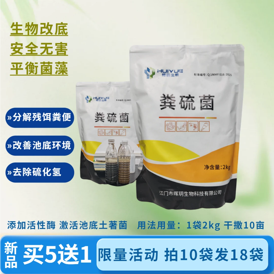 粪硫菌水产专用改底除黑臭净化水质分解有机质降硫化氢氨氮亚盐