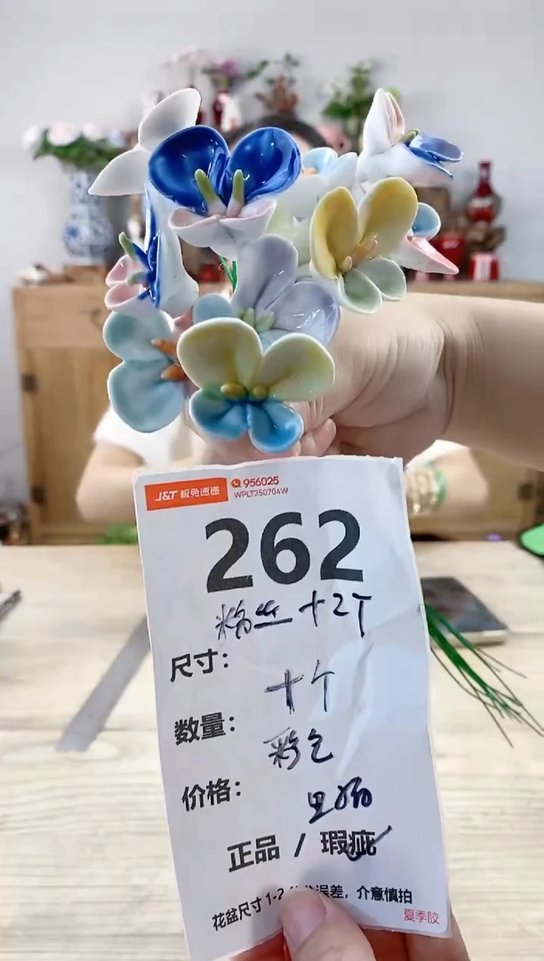 小玩子花盆直播号262