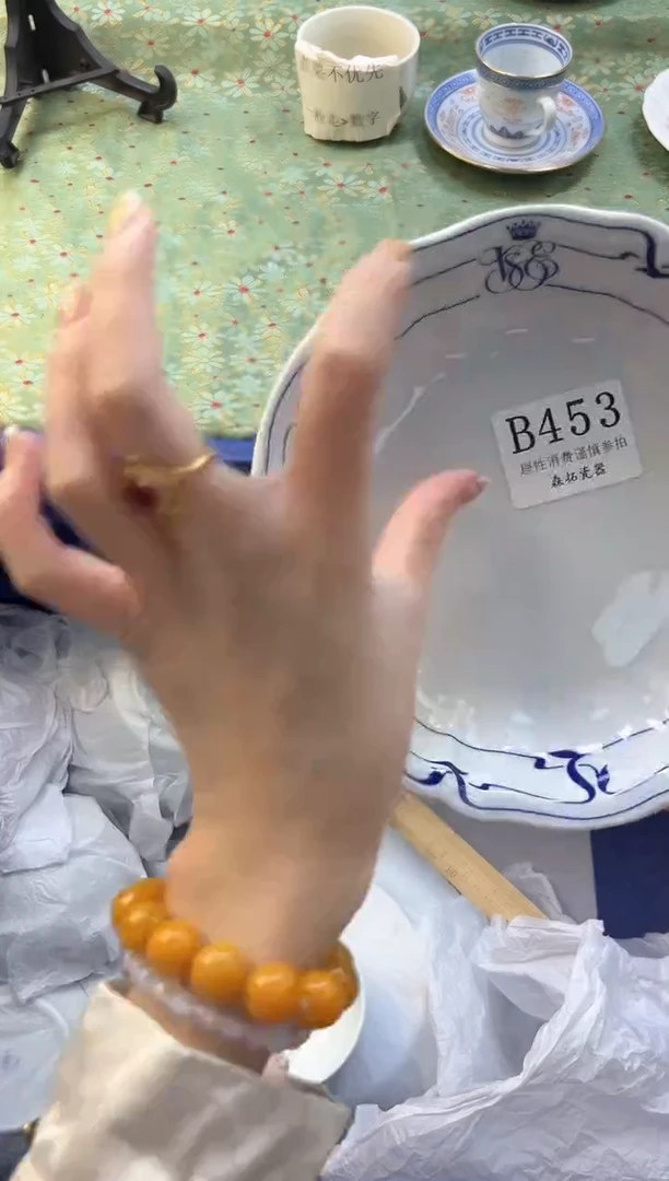 【闪购商品】瓷片          B453