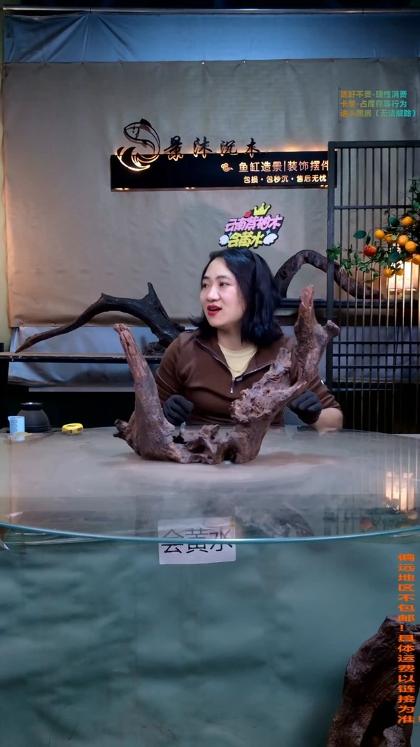 摆件 景沐沉木i905 45-15-34