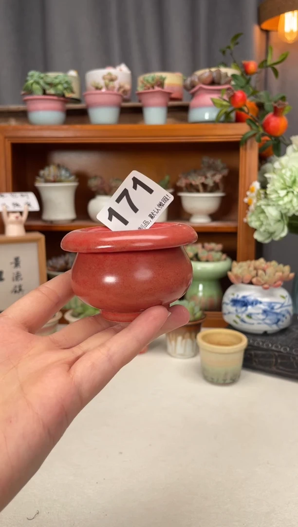 瓷片171知木小芳花盆