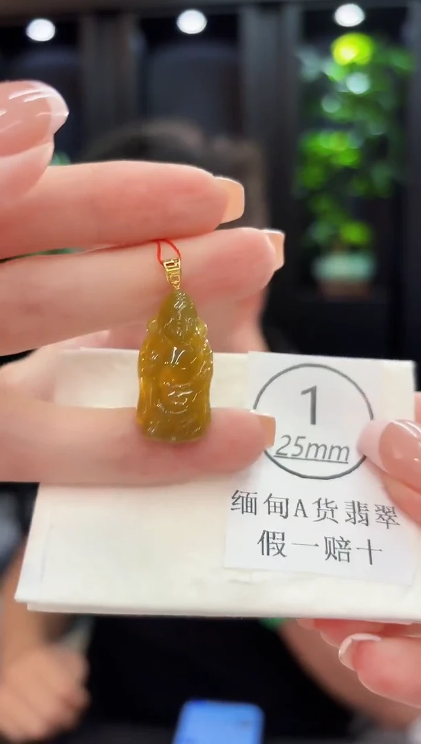 颈饰18K金镶嵌翡翠 缅料A货/支持复检/一件