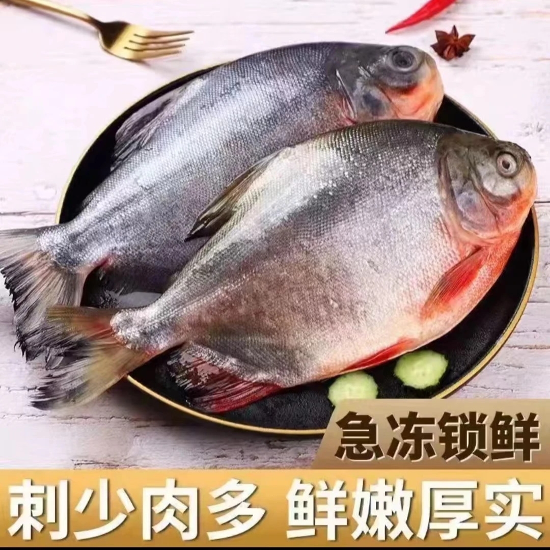 【到手5斤 JD包邮】鲜活速冻红鲳鱼 肉厚营养鲜美 350-950g/条