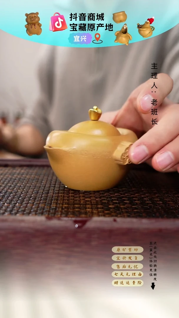 茶壶紫砂元宝手抓