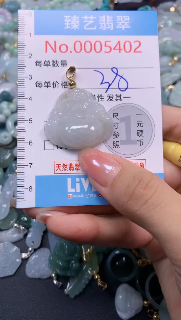 颈饰未镶嵌翡翠5402