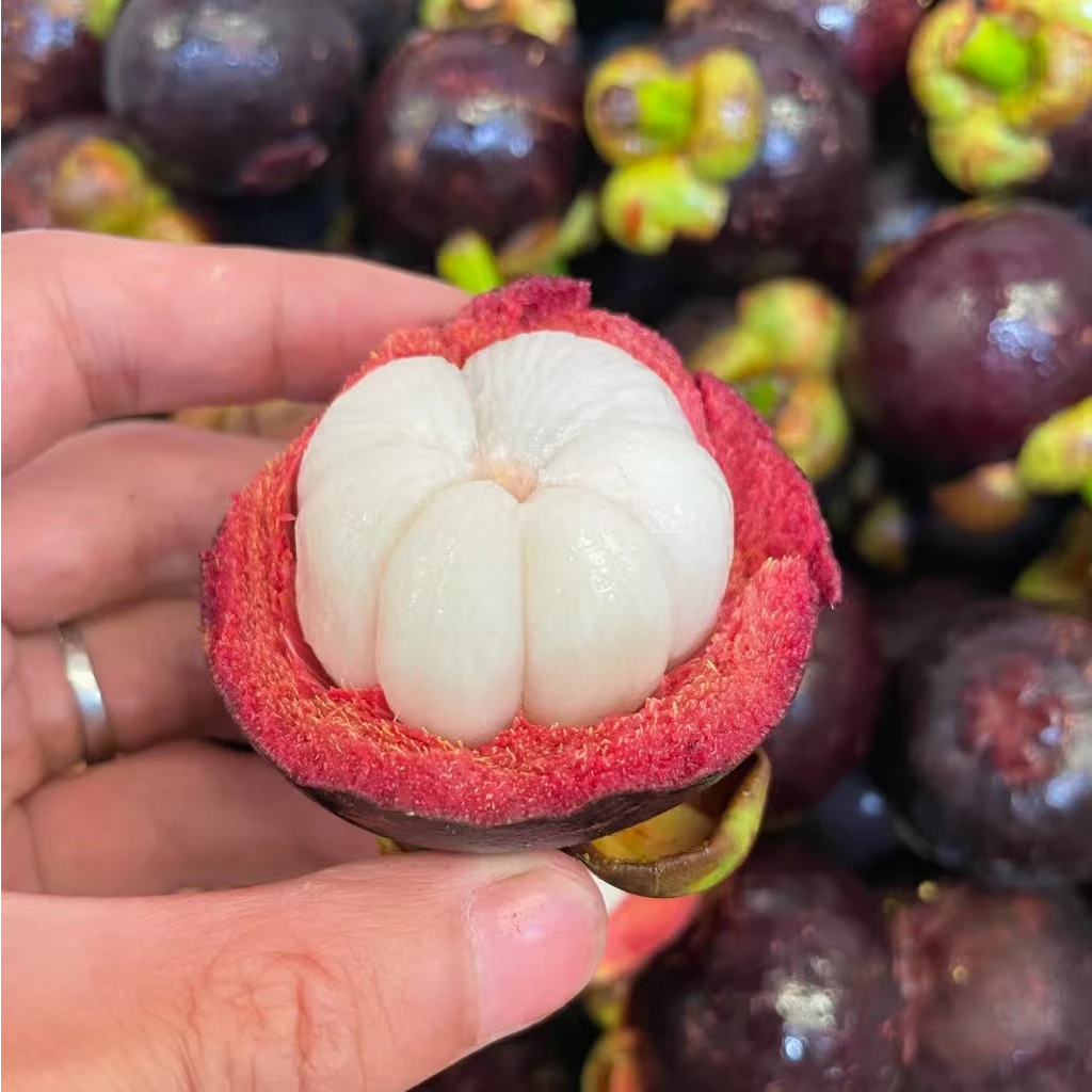 泰国3A山竹 新鲜到货 40年树龄老树麻竹 3斤、5斤装