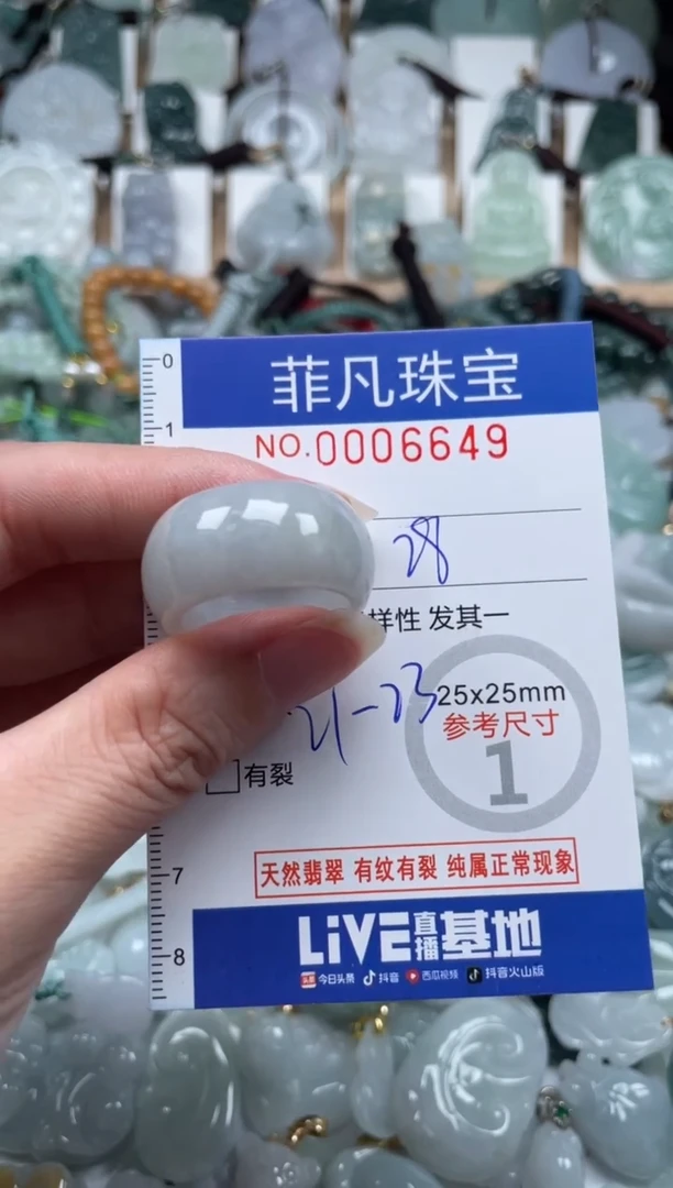 翡翠未镶嵌颈饰00..6649