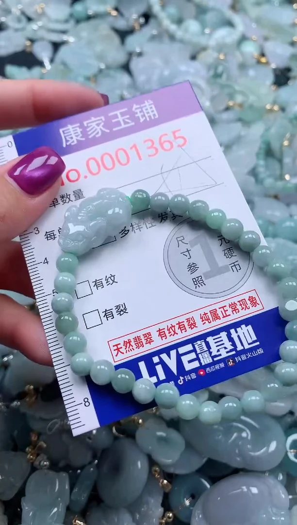 颈饰未镶嵌翡翠1365