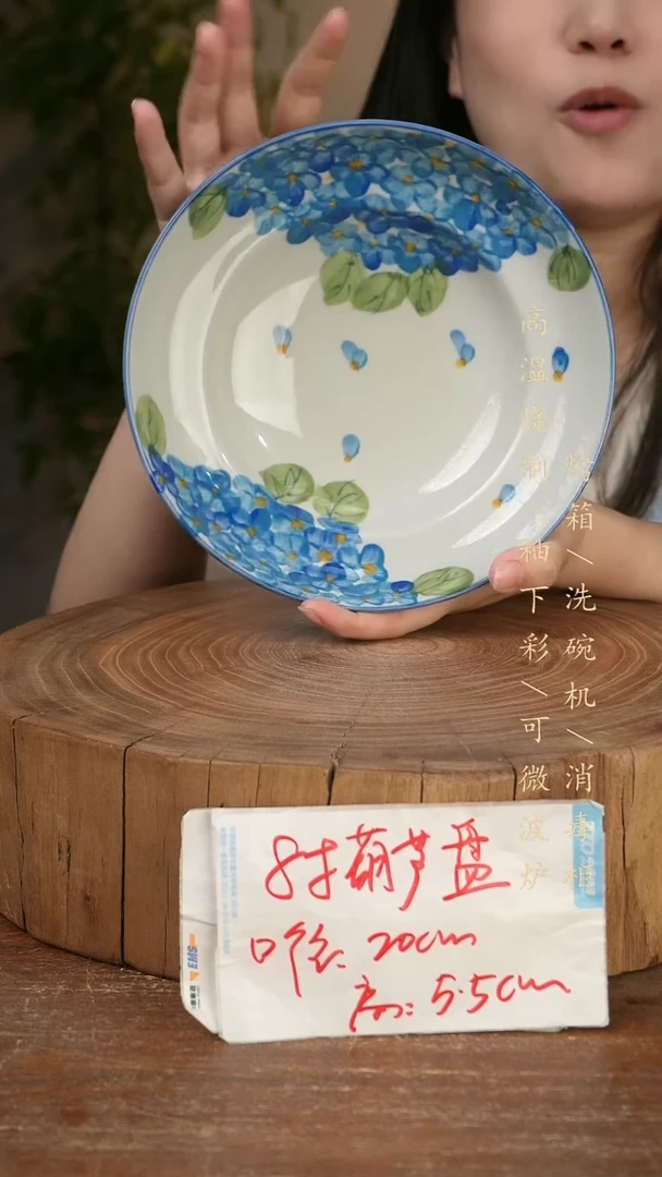 碗瓷景德镇手工手绘高温瓷釉下彩