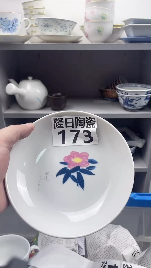 【闪购商品】瓷片longritaoci173