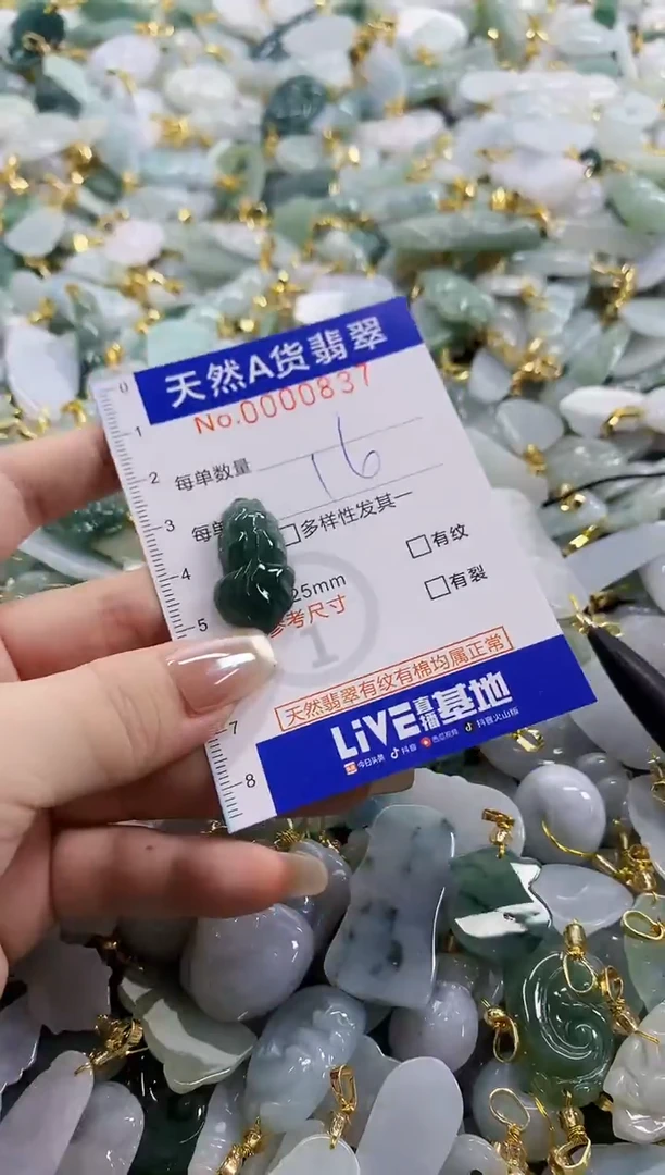 颈饰未镶嵌翡翠天然A货翡翠