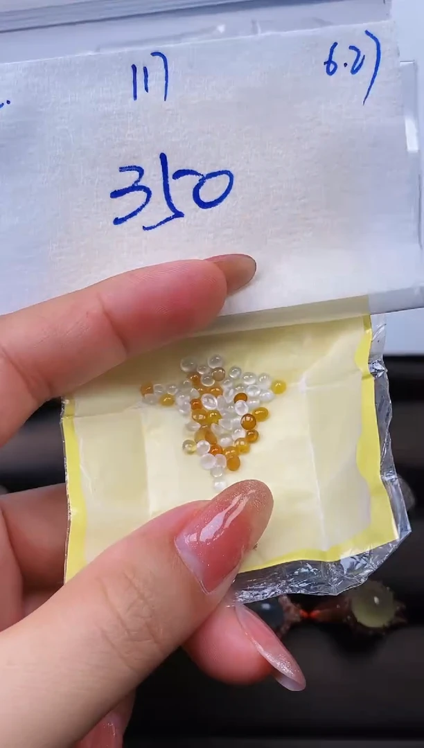 定制翡翠未镶嵌缅甸天然翡翠A货117