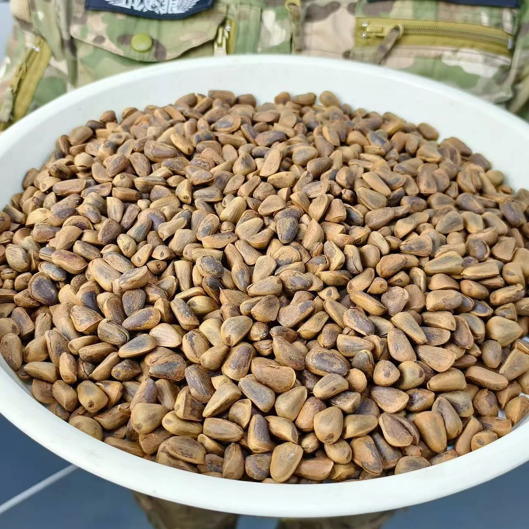 大颗粒东北笨炒850开口松籽