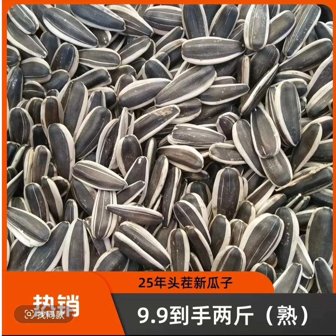 新鲜上市原味细长葵花籽炒熟瓜子休闲零食必备
