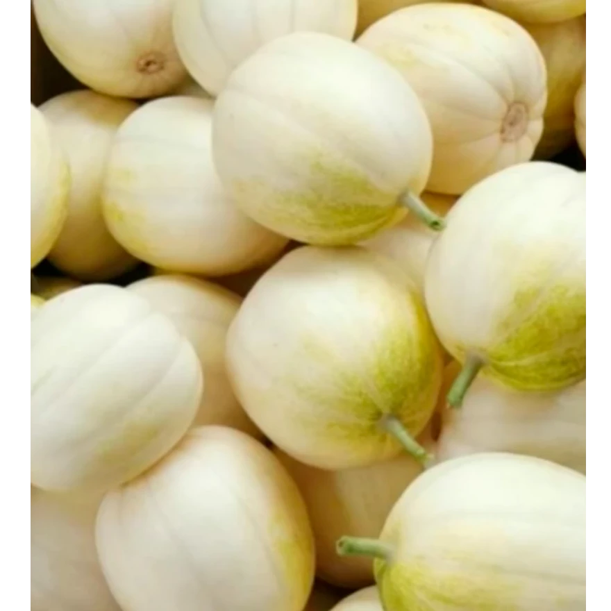 金妃香瓜 甜瓜 2斤左右（水果）