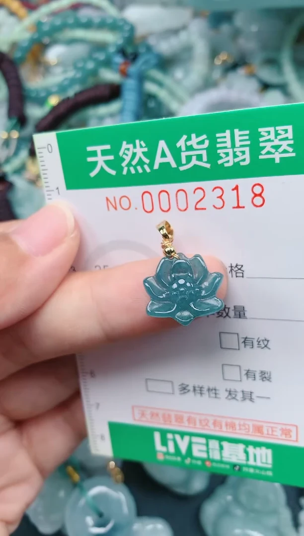 颈饰未镶嵌翡翠.0002318