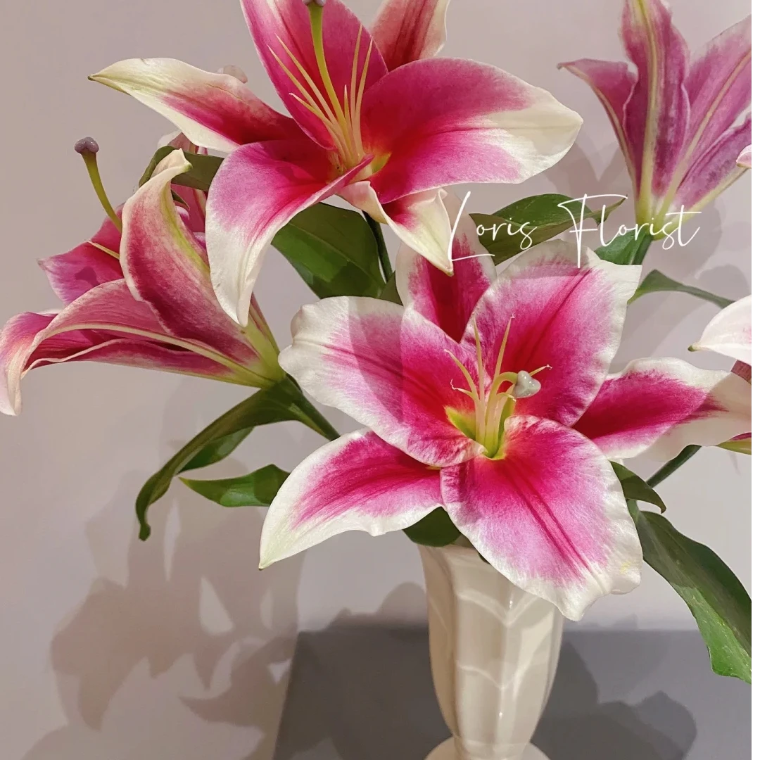 洪福百合鲜花插瓶花期长鲜切花云南基地直发室内客厅花卉