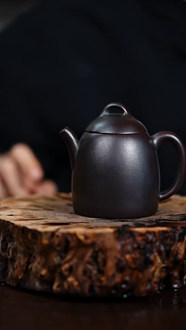 宜兴知衍传器原矿全手19