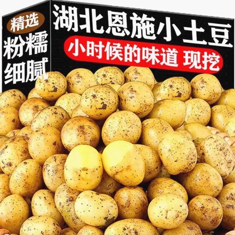 新鲜当季恩施黄心土豆马铃薯农家自种精选黄皮黄心土豆洋芋蔬菜