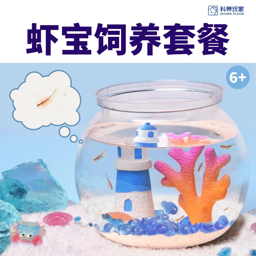 虾宝养成记儿童科学小实验孵化养殖套装益智观察缸