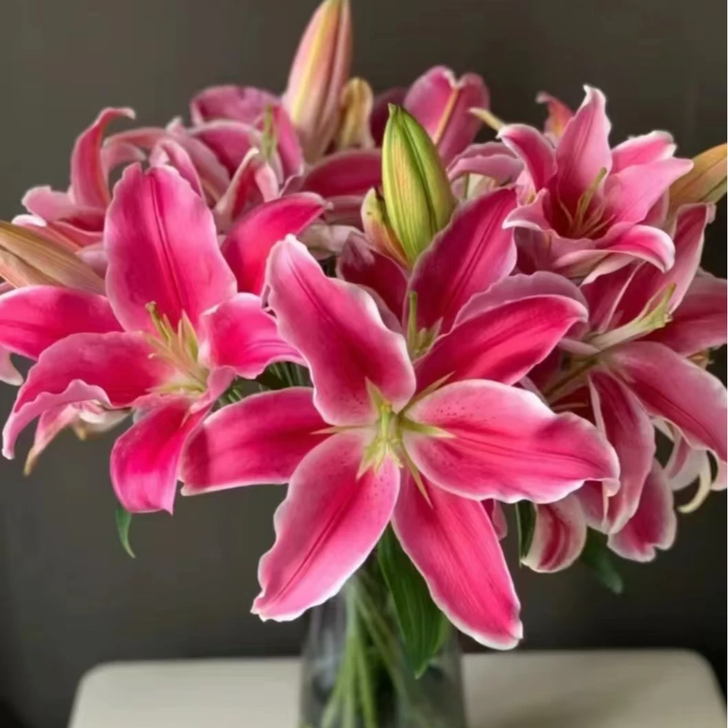 【红袖招百合】香水百合云南鲜花一单包邮包邮 发货后不支持退款