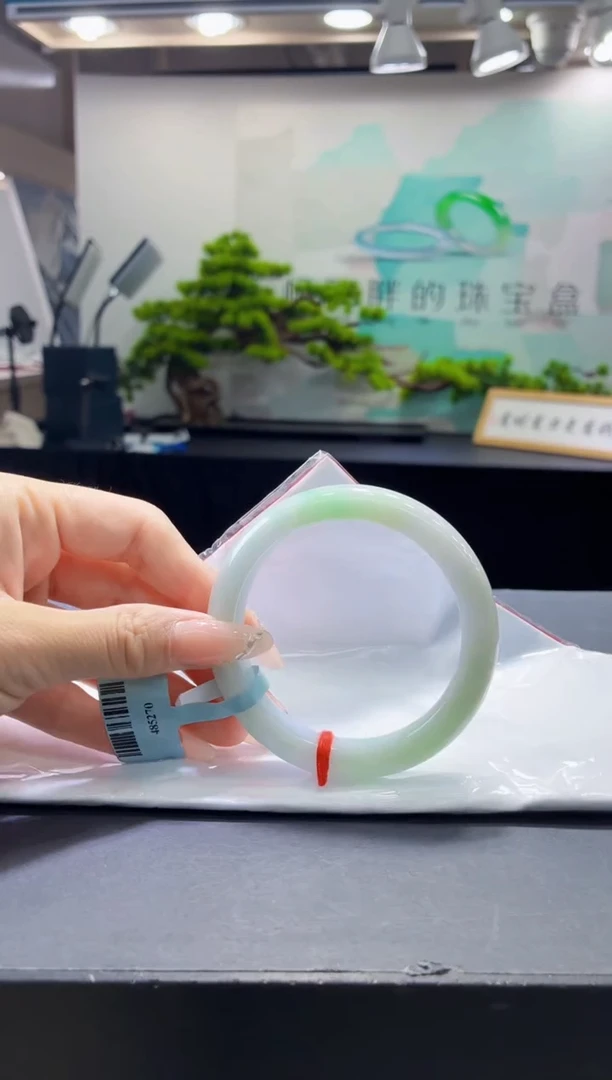 未镶嵌手镯翡翠8