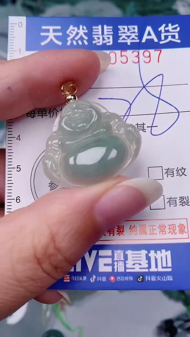 翡翠未镶嵌颈饰00005397
