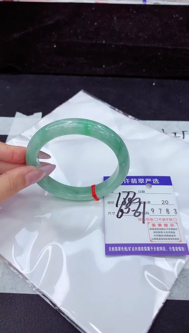 未镶嵌手镯翡翠1