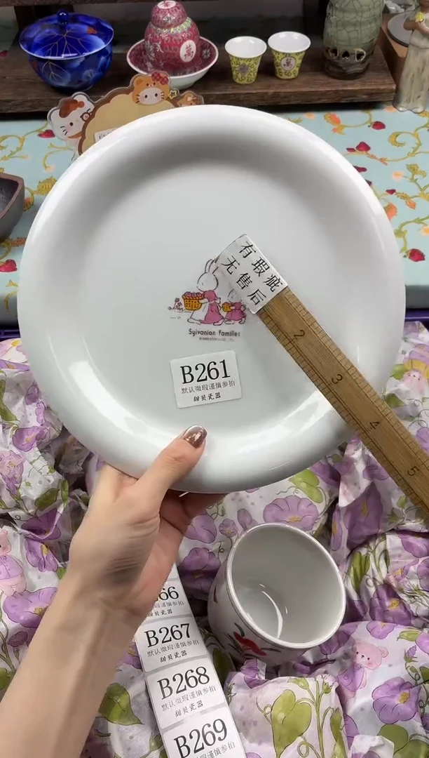 瓷片星*                B261