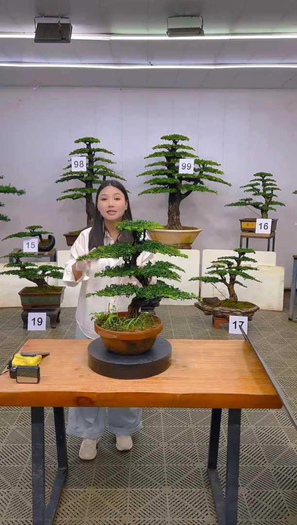 无花朵 一物一拍一物一拍