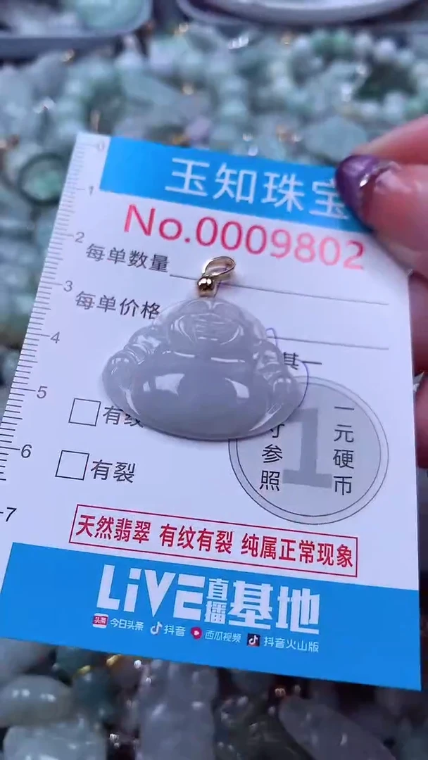 翡翠未镶嵌吊坠(不含链)9802