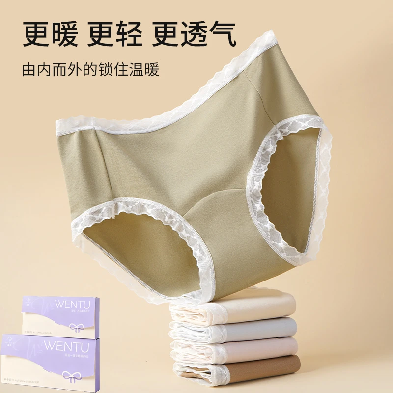 温途 紫杉醇乳酸菌防螨100A抗菌医用级加长裆女士内裤M#193