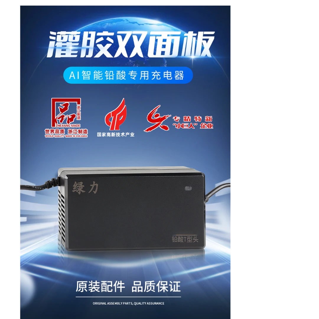 原厂配套 绿力智能灌胶60V72V双面板防水充电器系列（各种专用头）