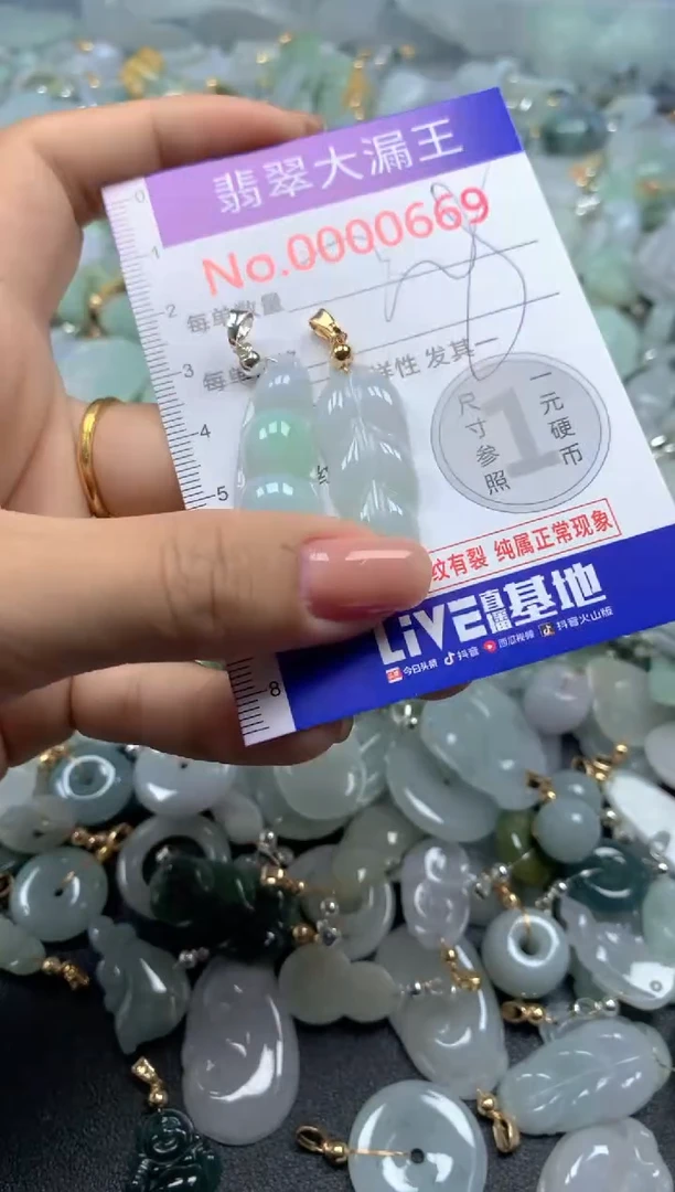 颈饰未镶嵌翡翠669