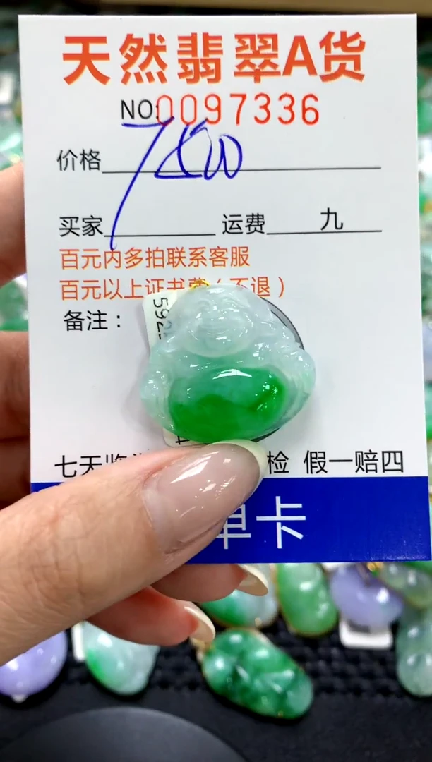 翡翠未镶嵌颈饰1111111111111111