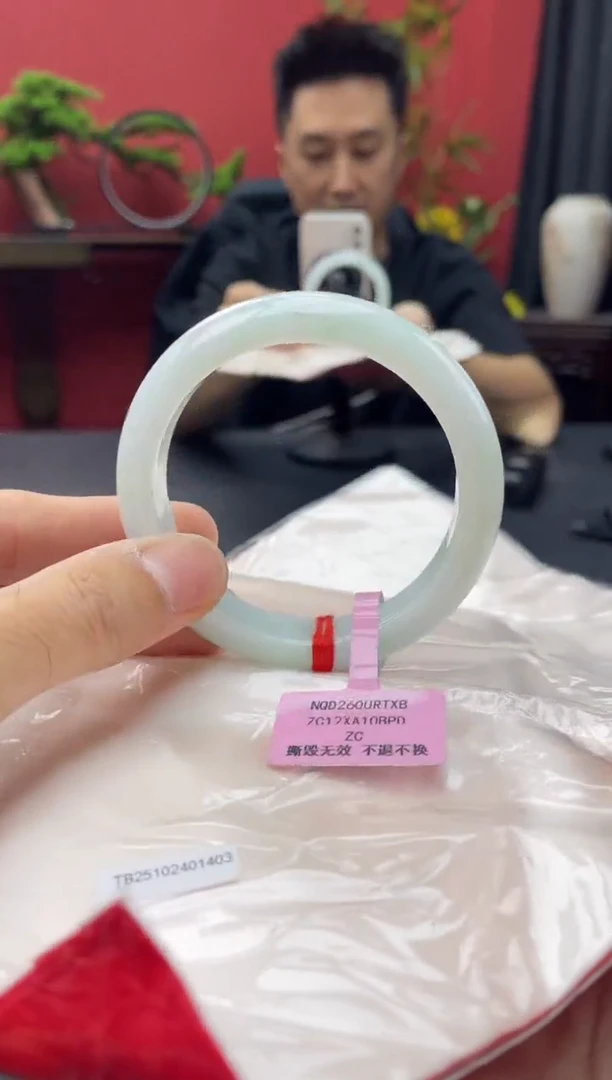 未镶嵌手镯翡翠13