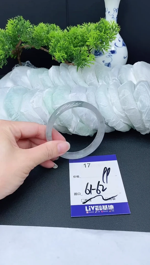 未镶嵌手镯翡翠17