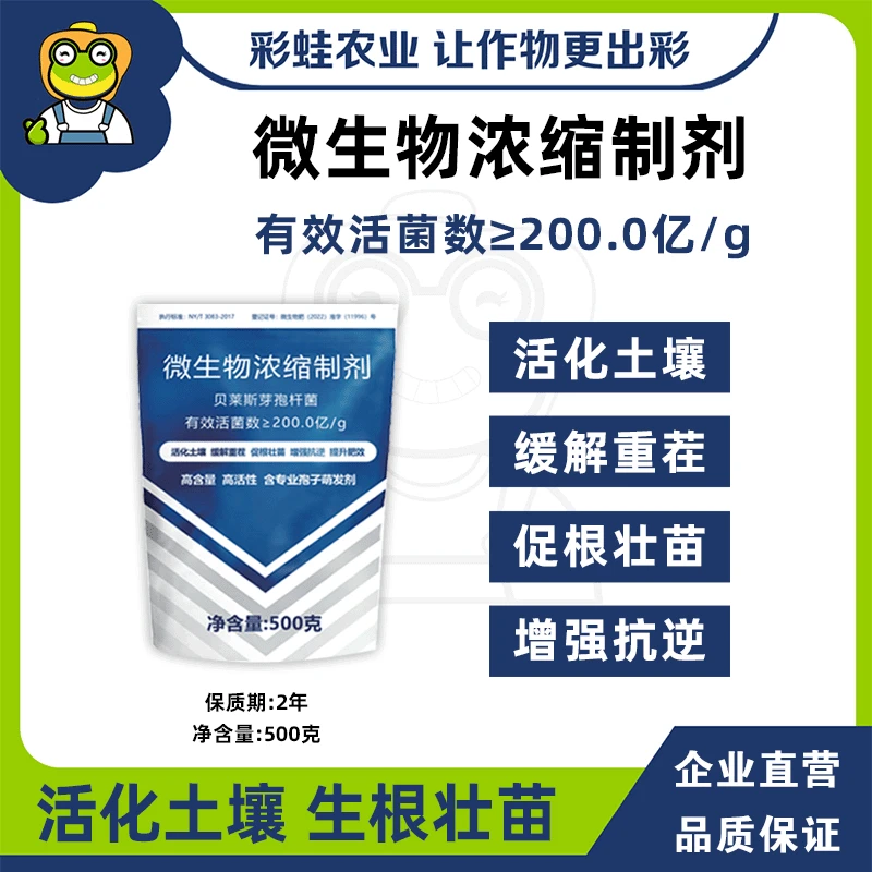 微生物菌剂芽孢杆菌活化土壤缓解重茬促根壮苗增强抗逆提升肥效