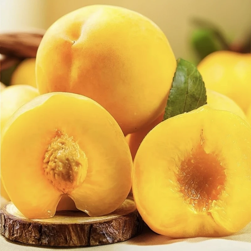 【山东蒙阴】正宗黄蜜桃新鲜当季水果脆甜多汁现采现摘产地直发